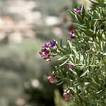Bed & Breakfast La Demeure Insoupconnee Cassis