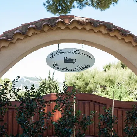 Bed & Breakfast La Demeure Insoupconnee Cassis