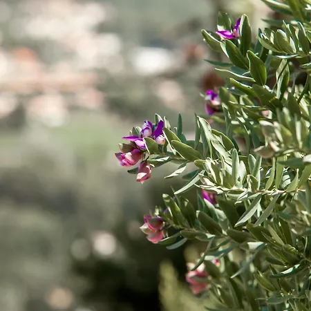 Bed & Breakfast La Demeure Insoupconnee Cassis